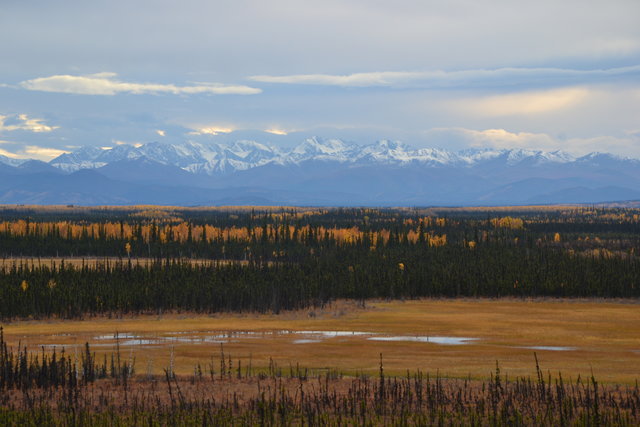 Tetlin National Wildlife Refuge, Alaska